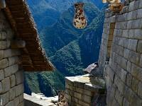 play Machu Picchu Mystery Escape