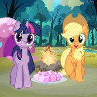 play My Little Pony Camp Fun