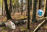play The Dark Forest 0 Game
