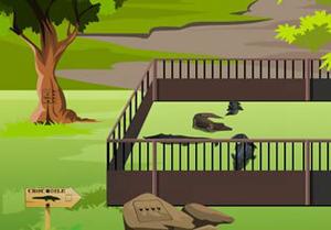 play Zoological Park Escape