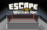 play Escape The Wrestling Ring