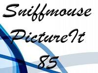 play Sniffmouse Pictureit 85