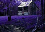 play Boy Escape From Wood House