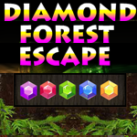 Diamond Forest Escape Game