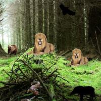 play Wild Animal Escape