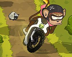 play Monkey Motocross Island