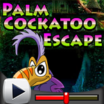 Palm Cockatoo Escape Game Walkthrough