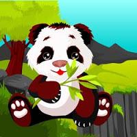 play Ajaz Forest Polar Bear Escape