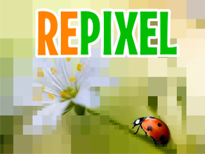 play Repixel Animals