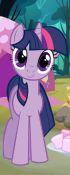 play My Little Pony Camp Fun Game
