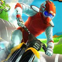 Pro Motorcross Racer