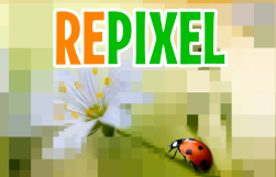 play Repixel Animals
