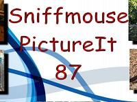 play Sniffmouse Pictureit 87