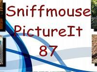 Sniffmouse Pictureit 87