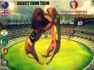 play Cricket Hit Wicket 2016