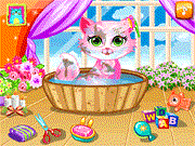 play Care Your Sweet Cats