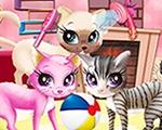 play Kitty Pet Care Salon