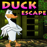 Duck Escape Game