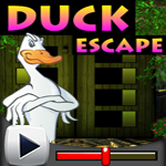 Duck Escape Game Walkthrough
