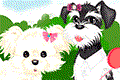 play Cutey Puppy
