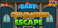 Baby Chimpanzee Escape