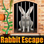 Rabbit Escape 3 Game