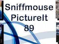 play Sniffmouse Pictureit 89