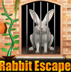 play Rabbit Escape 3