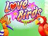 play Love Birds