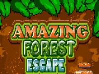 play Amazing Forest Escape