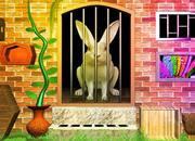 play Rabbit Escape 3