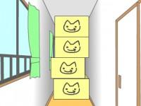 play Marshmallow'S New Home Room 5
