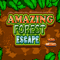 play Amazing Forest Escape