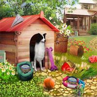 play Animal Lovers