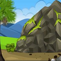 play Escape Forest