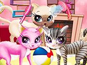 play Kitty Pet Care Salon