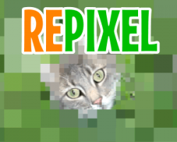 Repixel Find A Cat