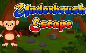 play Ajaz Underbrush Escap