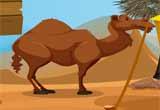 play Desert Treasure