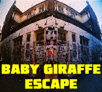 Baby Giraffe Escape