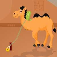 play Hump Escape