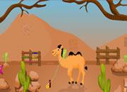 play Hump Escape
