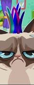 play Angry Cat Hair Salon