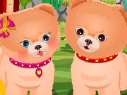 play Baby Lisi Newborn Puppies