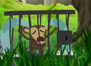 play Eight Rescue The Monkey