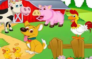 Farm Animals