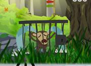 play Rescue The Monkey