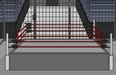 play Escape The Wrestling Ring