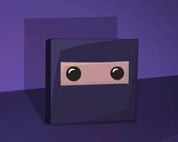 play Super Ninja Block