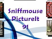 play Sniffmouse Pictureit 91